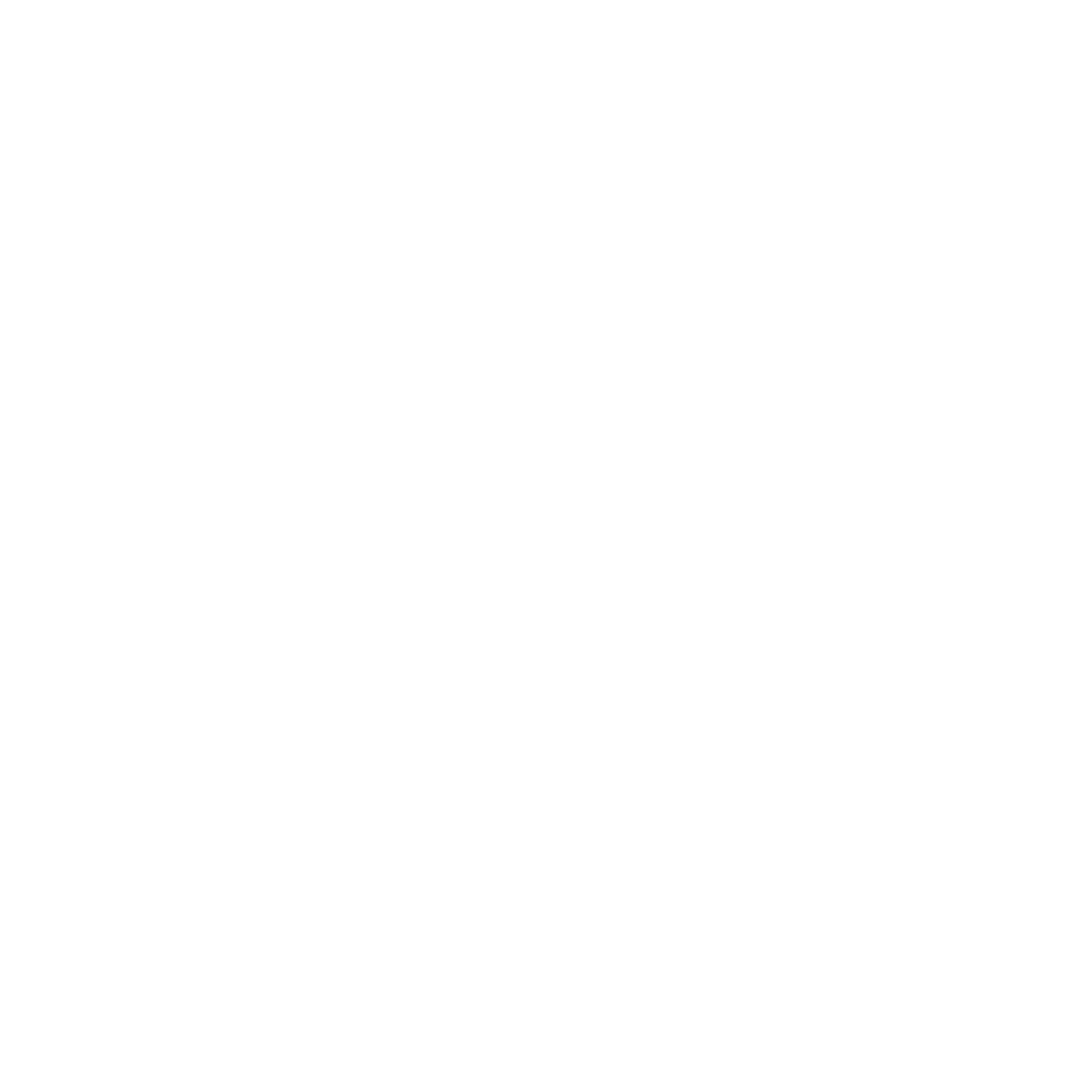 Selina-Walter-Photography-Hochzeitsfotograf-aus-Wiesloch-Heidelberg-Foto-Logo-weiß-2